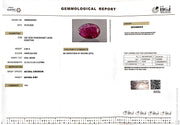 3.98/CT Natural Ruby Stone with Govt. Lab Certificate-15909S205581